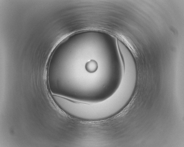 X0000116430900200912221502