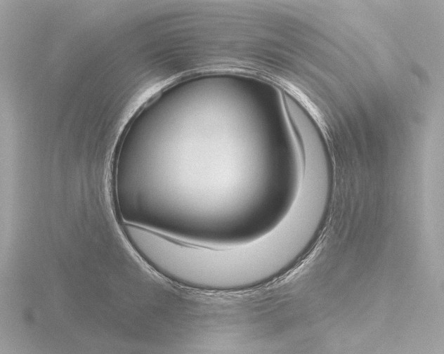 X0000116430901200912221502