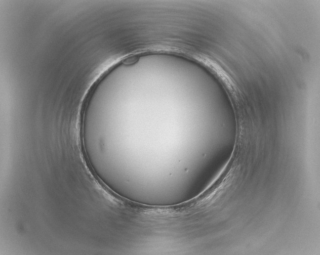 X0000116430902200912221502