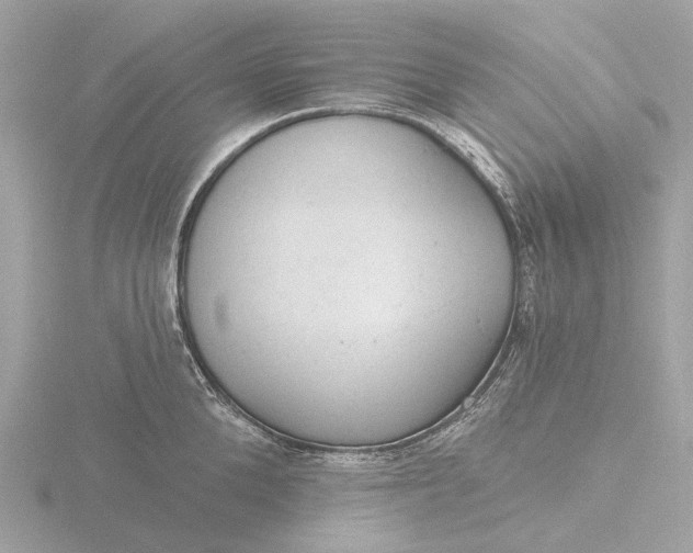 X0000116430904200912221502