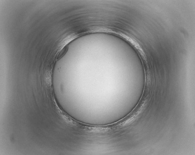 X0000116430905200912221502