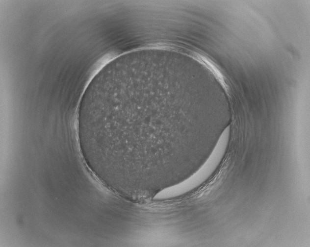 X0000116430907200912221502