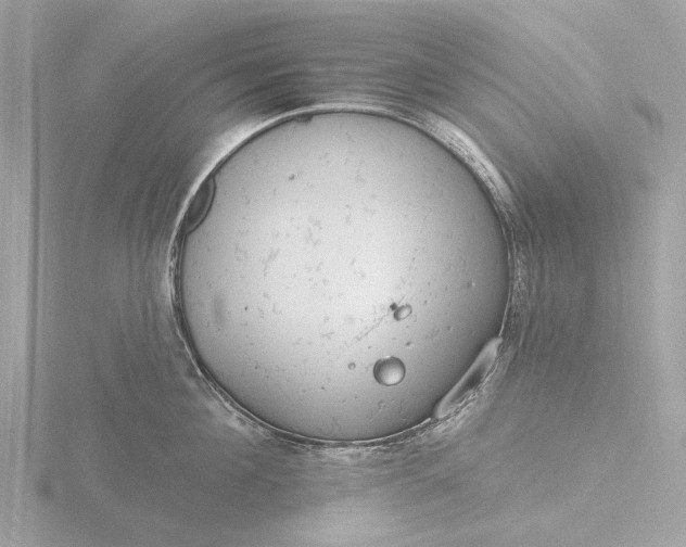 X0000116430908200912221502