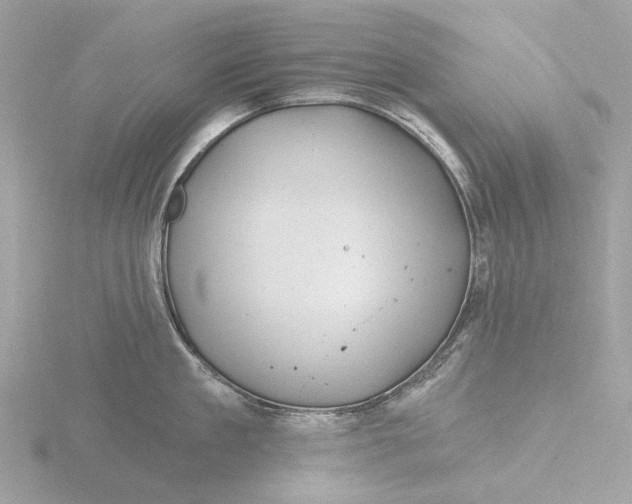 X0000116430909200912221502