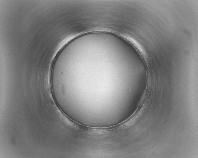 X0000116430910200912221502