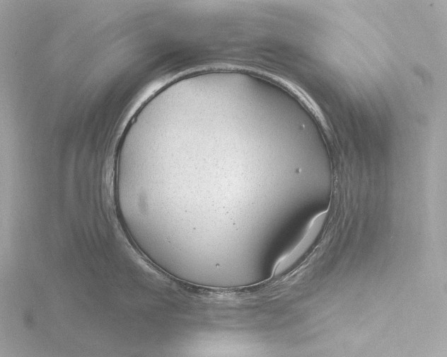 X0000116430911200912221502