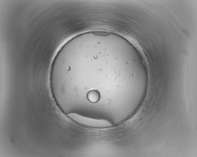 X0000116430912200912221502