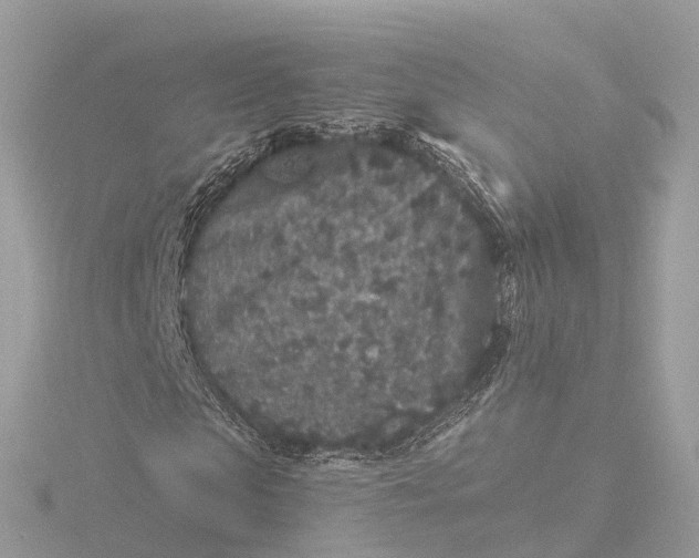 X0000116430913200912221502