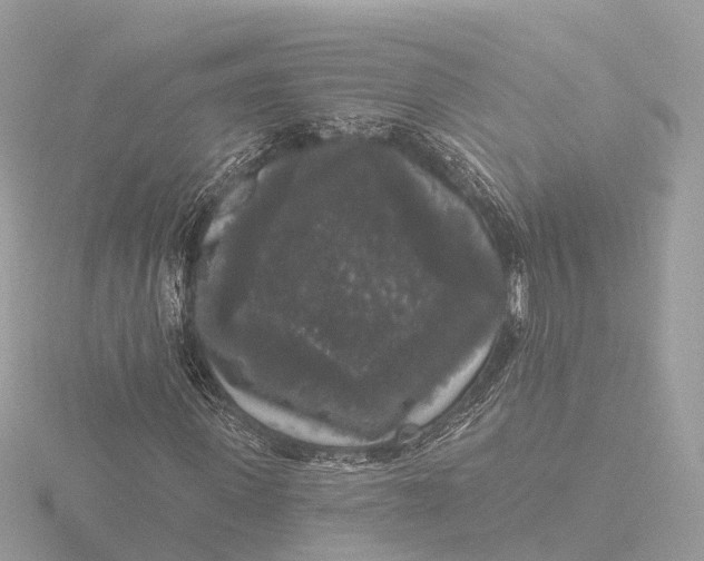 X0000116430915200912221502