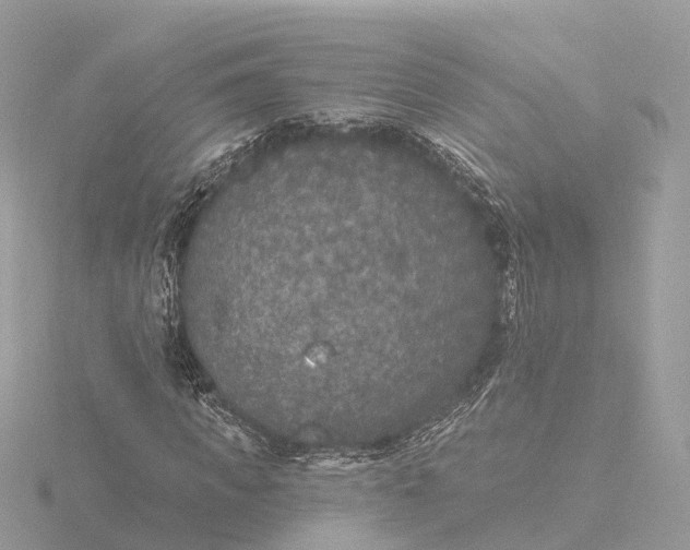 X0000116430917200912221502