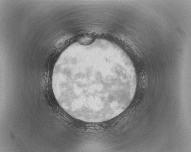 X0000116430918200912221502