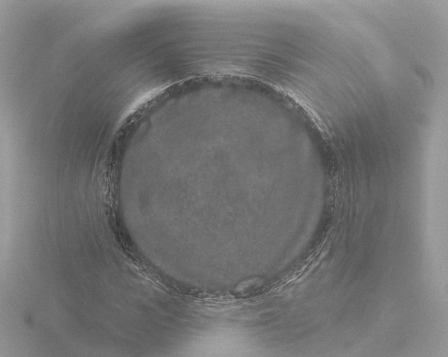 X0000116430919200912221502