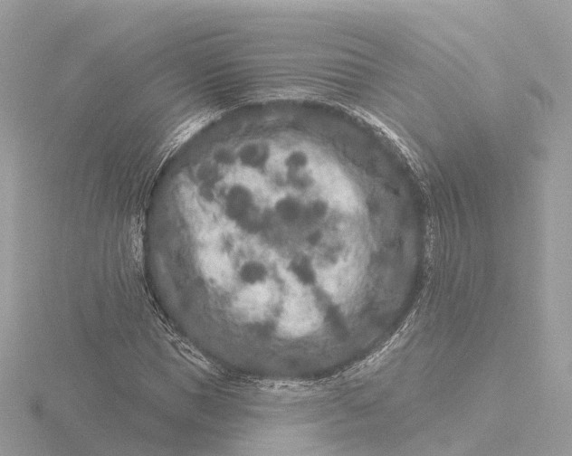 X0000116430921200912221502