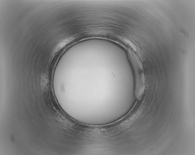 X0000116430922200912221502