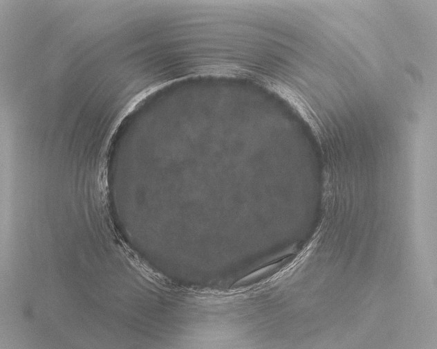 X0000116430923200912221502