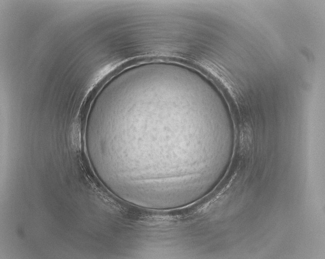 X0000116430925200912221502