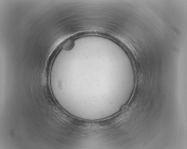 X0000116430927200912221502