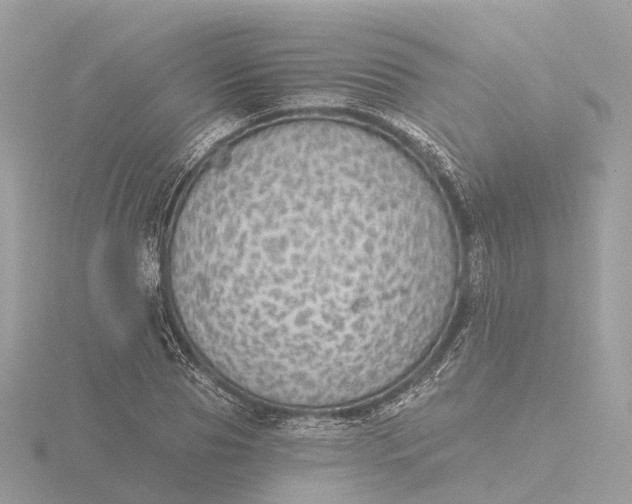 X0000116430929200912221502