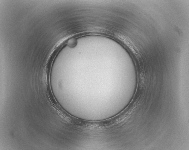 X0000116430931200912221502