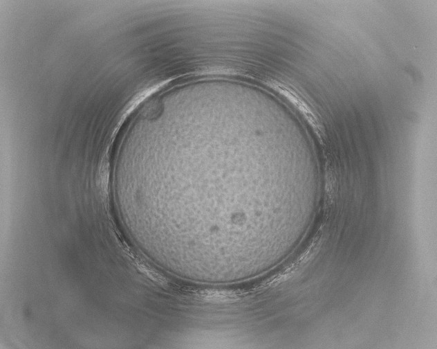 X0000116430933200912221502