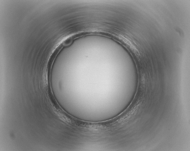 X0000116430934200912221502