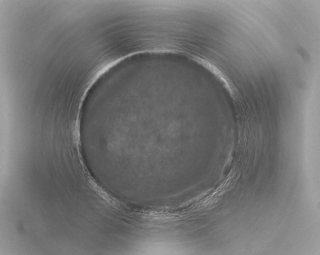 X0000116430935200912221502