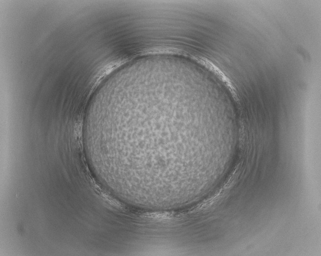 X0000116430937200912221502