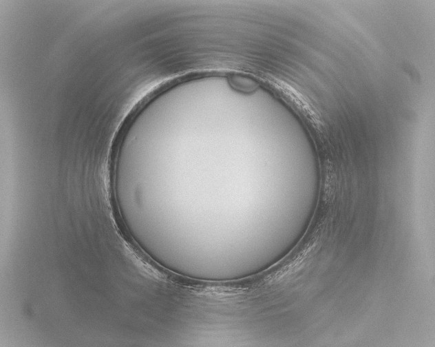 X0000116430942200912221502