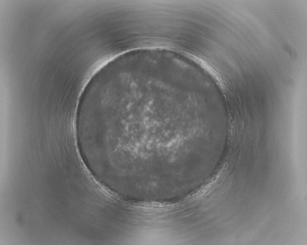 X0000116430943200912221502