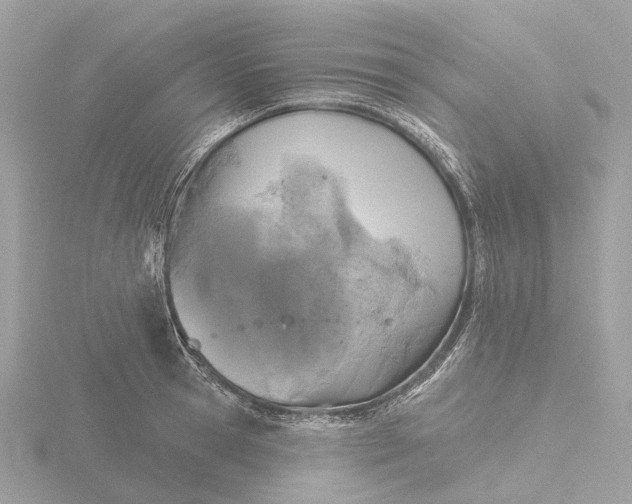 X0000116430945200912221502