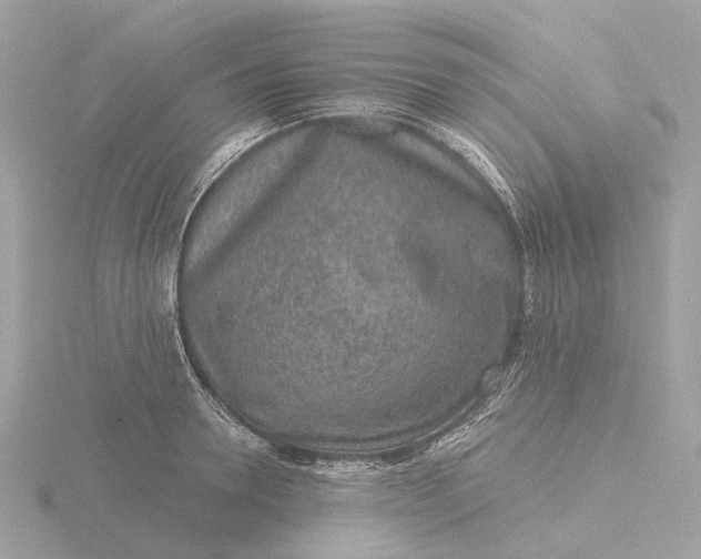 X0000116430946200912221502