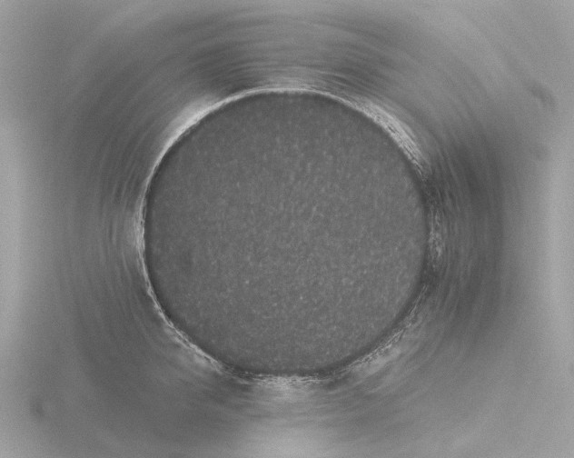 X0000116430950200912221502