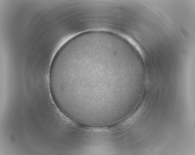 X0000116430951200912221502