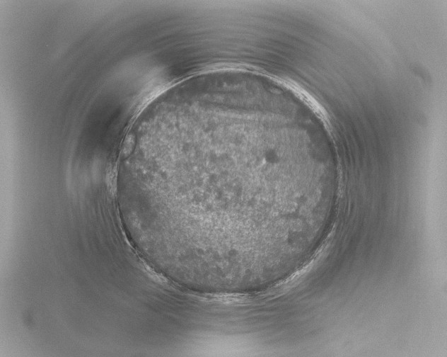 X0000116430953200912221502