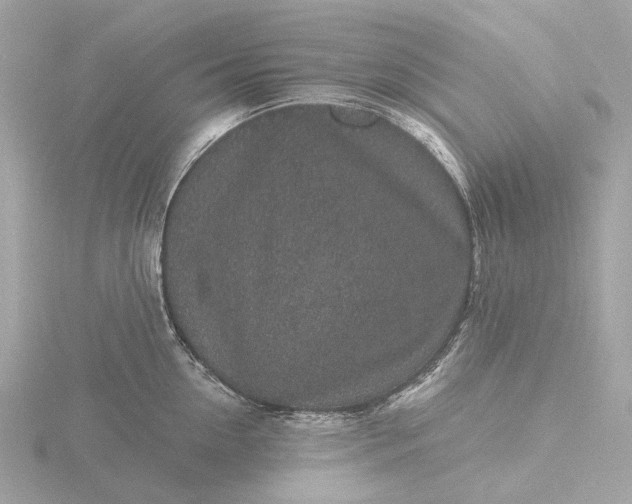 X0000116430954200912221502