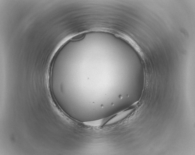 X0000116430955200912221502