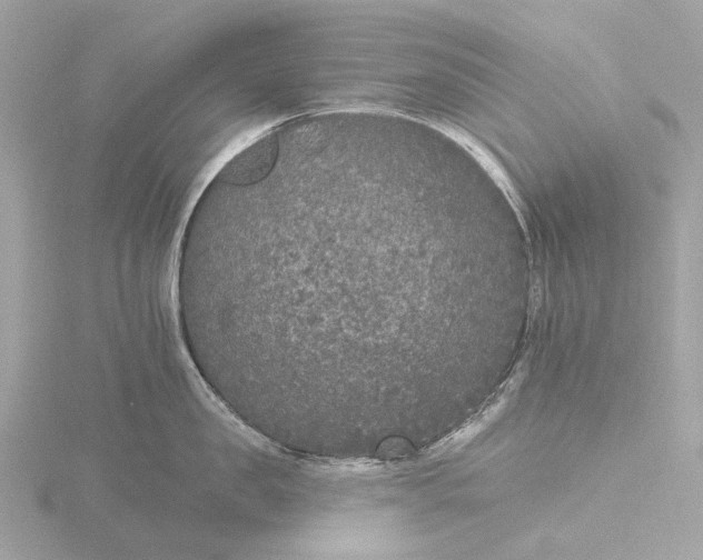 X0000116430957200912221502