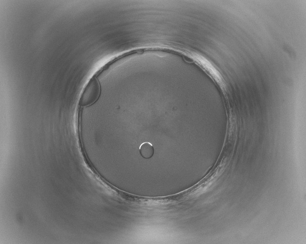 X0000116430958200912221502