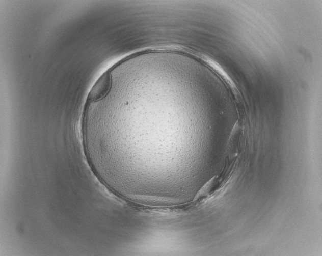 X0000116430959200912221502