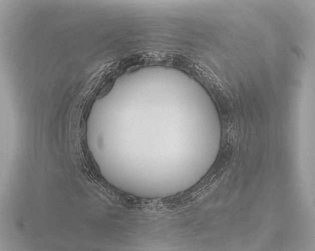 X0000116430961200912221502