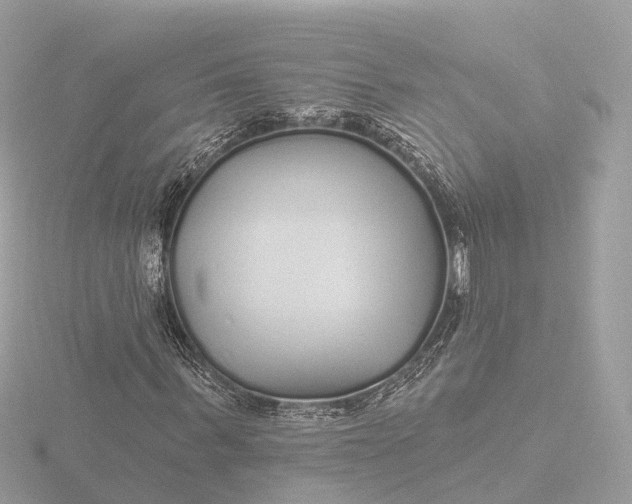 X0000116430963200912221502