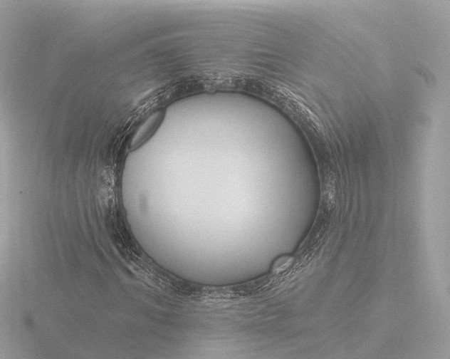 X0000116430964200912221502