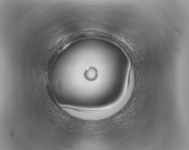 X0000116430965200912221502