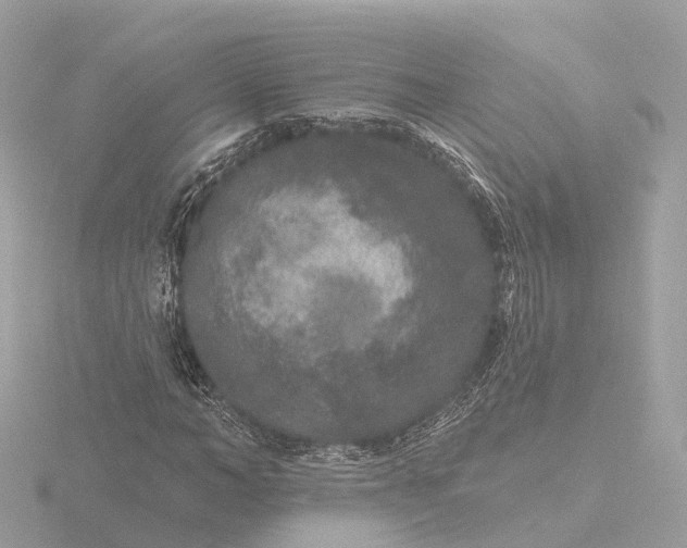 X0000116430966200912221502