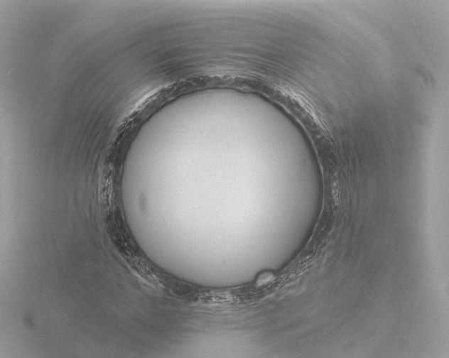 X0000116430968200912221502