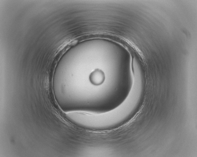 X0000116430969200912221502