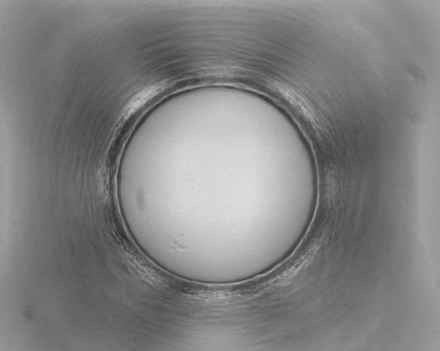 X0000116430970200912221502