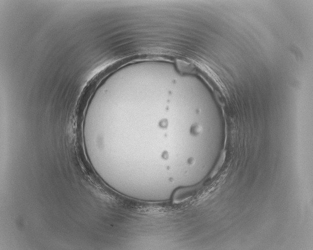 X0000116430971200912221502