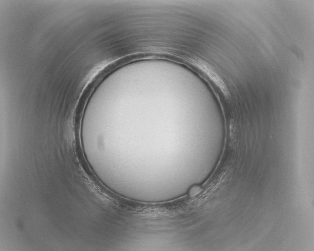 X0000116430972200912221502