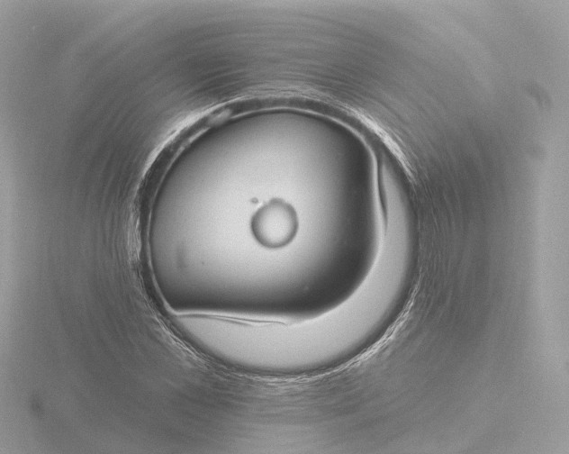 X0000116430973200912221502